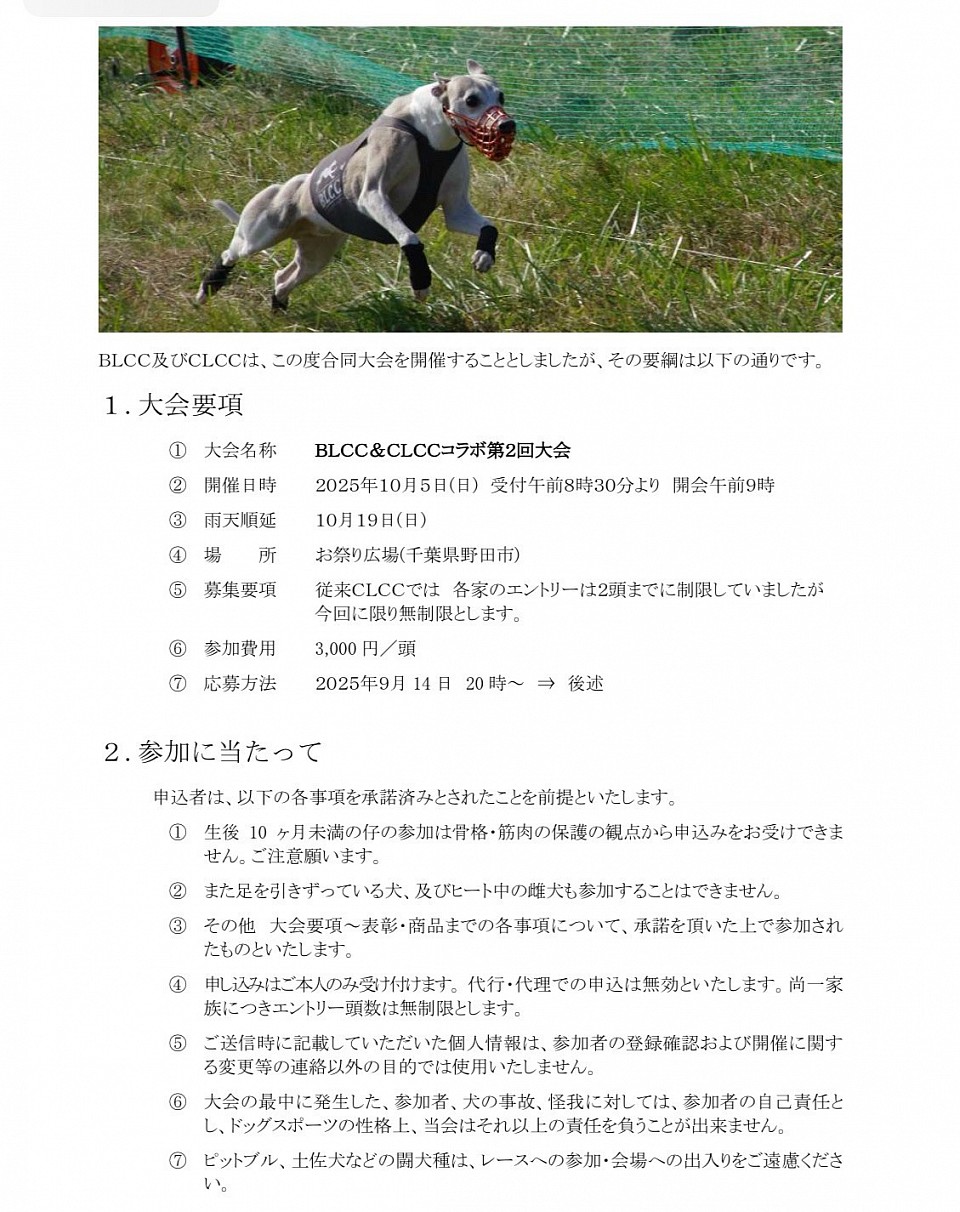 コラボ大会
