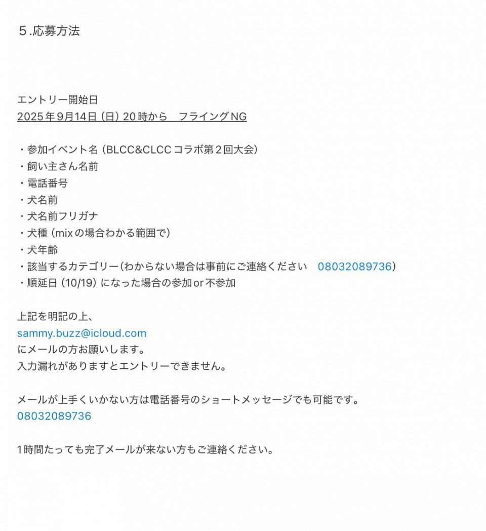 コラボ大会
