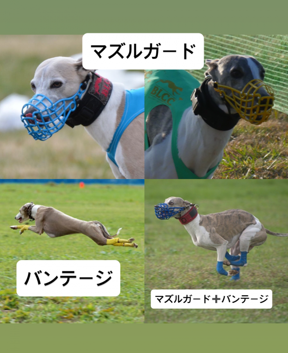 マズルガードとバンテージの慣らし方