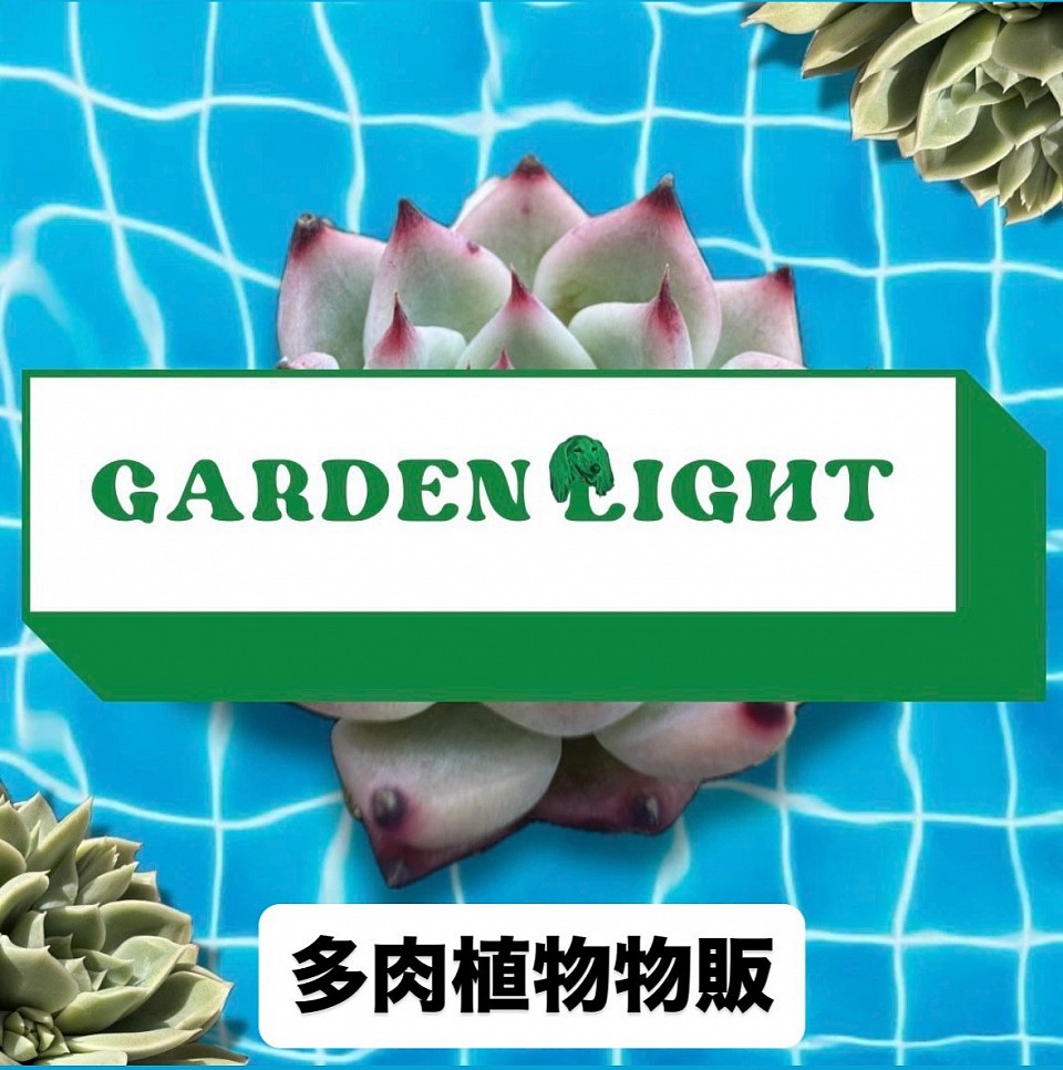 出店店舗