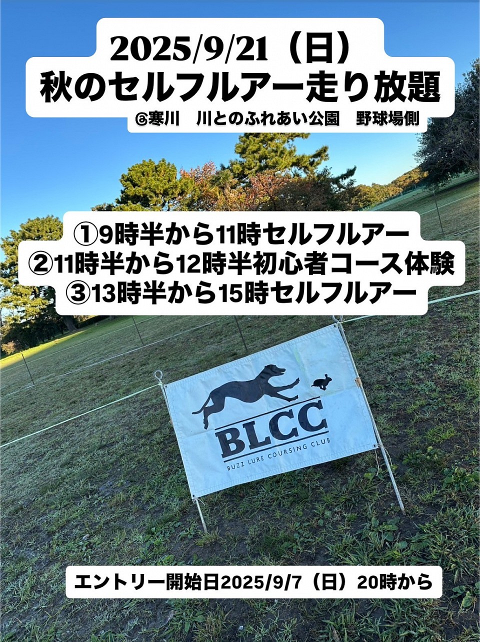 秋のセルフルアー