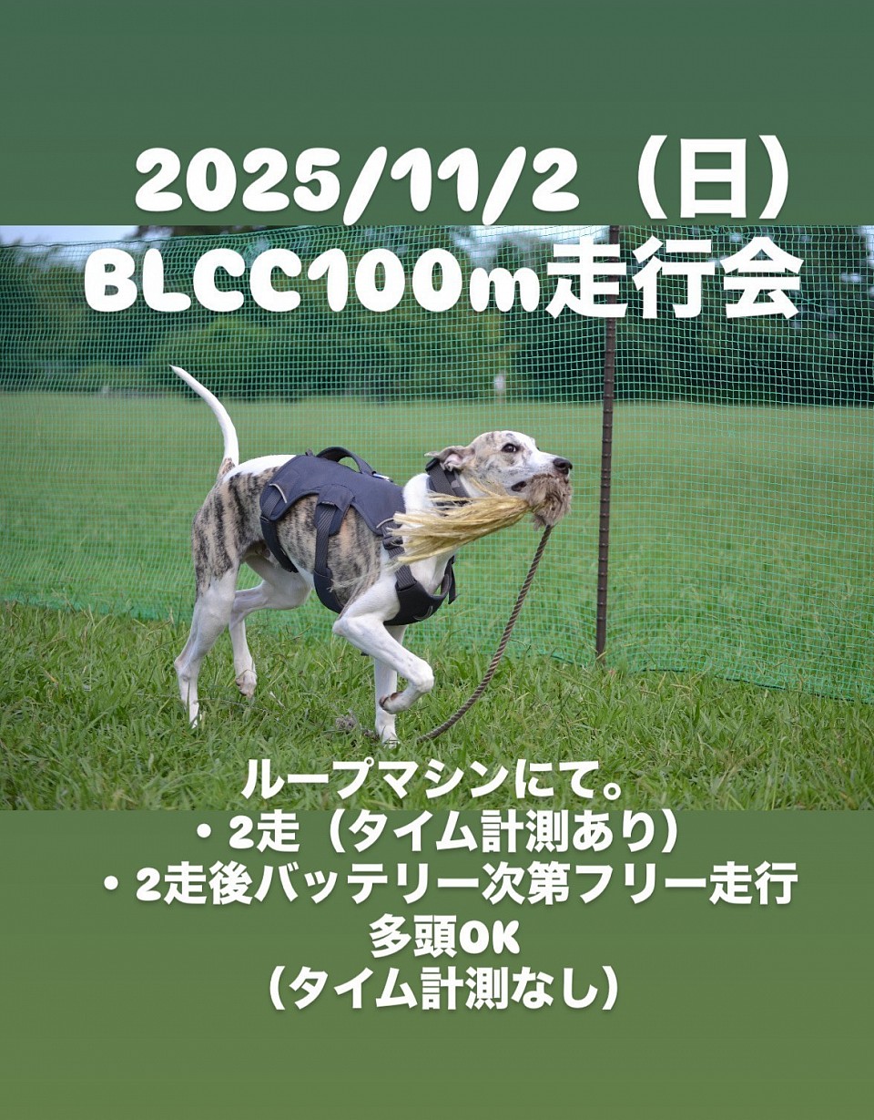 BLCC