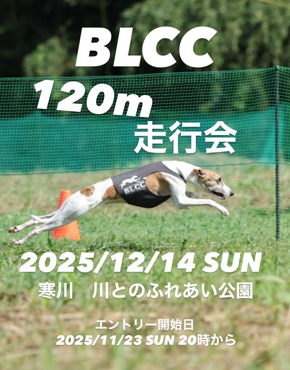 BLCC