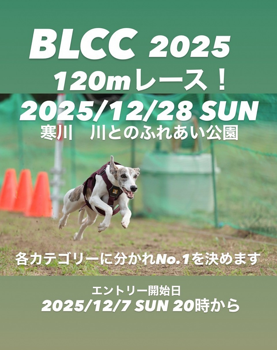 BLCC