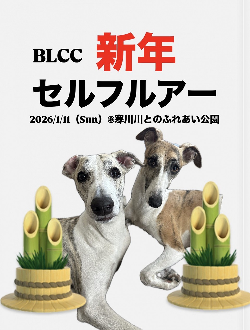 BLCC