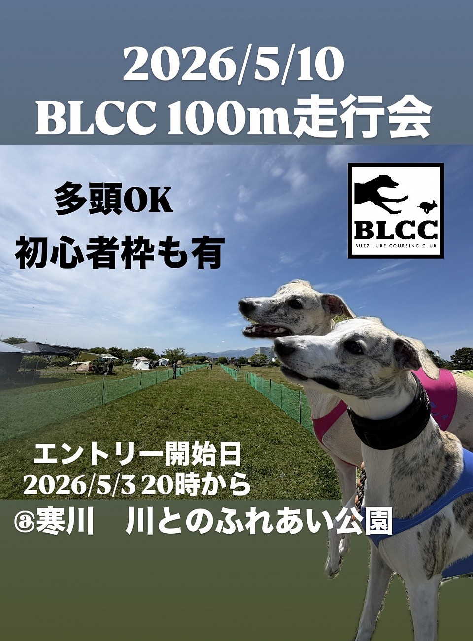 BLCC
