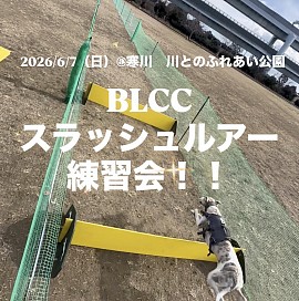 BLCC
