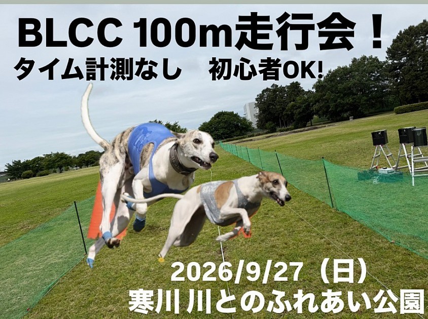 BLCC