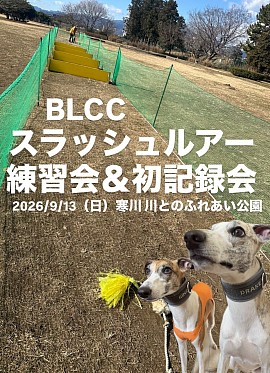 スラッシュルアー