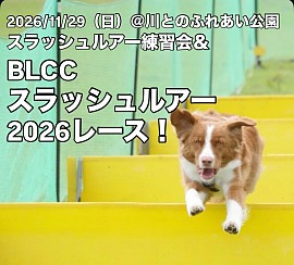 スラッシュルアー