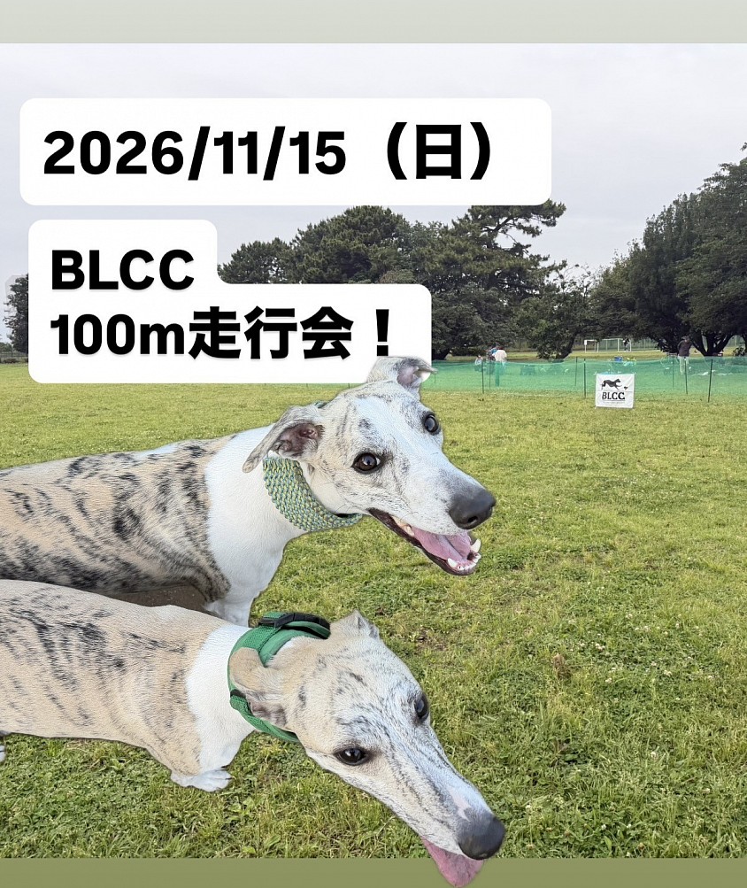BLCC