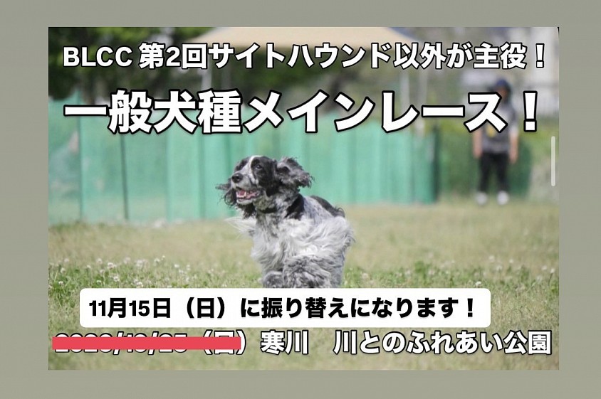 BLCC